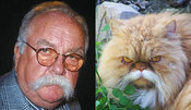 Wildfredcat01