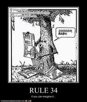 Rule_34