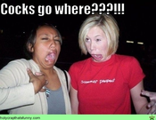 Cock_goes_where2