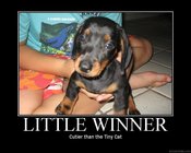 Littlewinner