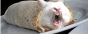 Kebab