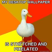 Technologically-impaired-duck-my-desktop-wallpaper-is-stretched-and-pixelated