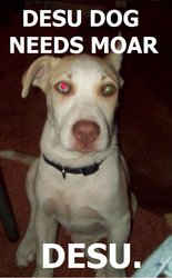 Desudog