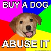 Advice-dog-buy-a-dog-abuse-it