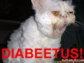 Funny-000637