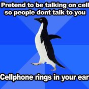 Cell1