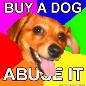 Advice-dog-buy-a-dog-abuse-it