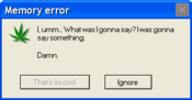 Mem_error20110724-22047-b26zi5