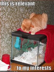 Thisisrelevant128538704848906250