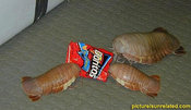 Wtf_from-outer-space