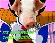 Swine_thousand