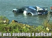 Pelicanavoidance