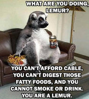 Funny_animals_pictures_02_copy