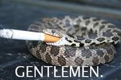 Gentlemen_snake