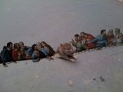 Sad_rat_sidewalk_14