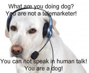 Dog_phone_operator