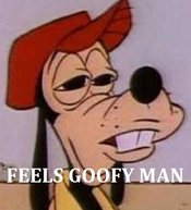 633979897473414695-goofy