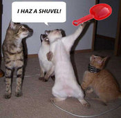 Shuvel