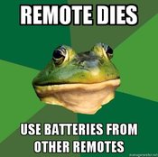 Foul-bachelor-frog-remote-dies-use-batteries-from-other-remotes