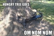 Roflbot