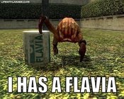 Lolcrab_1