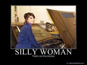 633703392079757110-sillywoman