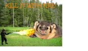 Killitwithfire