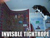 Invisiabletightrope