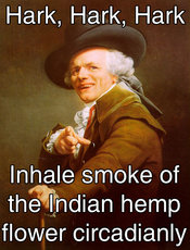 Smoke_weed_every_day