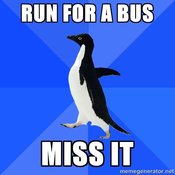 Awkward_penguin_1