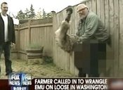 S-emu-large