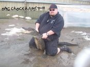 Crocodile_1