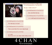 4chanfullofnormalpeople