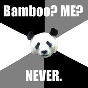 Sarcastic_panda2