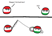 Polandball_hungary_magnet20110724-22047-5mwaj0