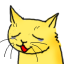 Neko_face320110724-22047-15hnh04