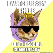 Hipster-kitty-i-watch-jersey-shore-for-the-social-commentary_1_