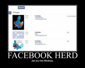 Facebook_herd