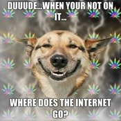 Duuudewhen-your-not-on-it-where-does-the-internet-go
