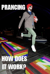 Prancing_icp