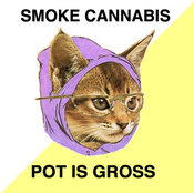 Hipster_kitteh