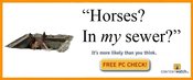 Horsesinmysewer
