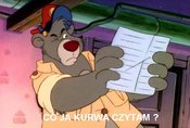 Co_ja_kurwa_czytam_