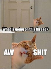 Awshitkitty