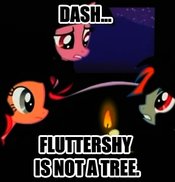 Fluttershy_is_not_a_tree-(n1305340432384)