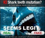 Seems%20legit