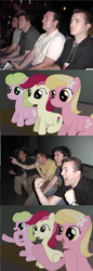 Reaction%20ponies