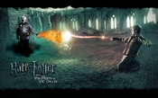Pepper%20spray%20everything%20cop%20vs%20harry%20potter