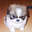 Fluffy, the Destroyer of Worlds Fluffy, the Destroyer of Worlds