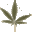 Paul Hemp